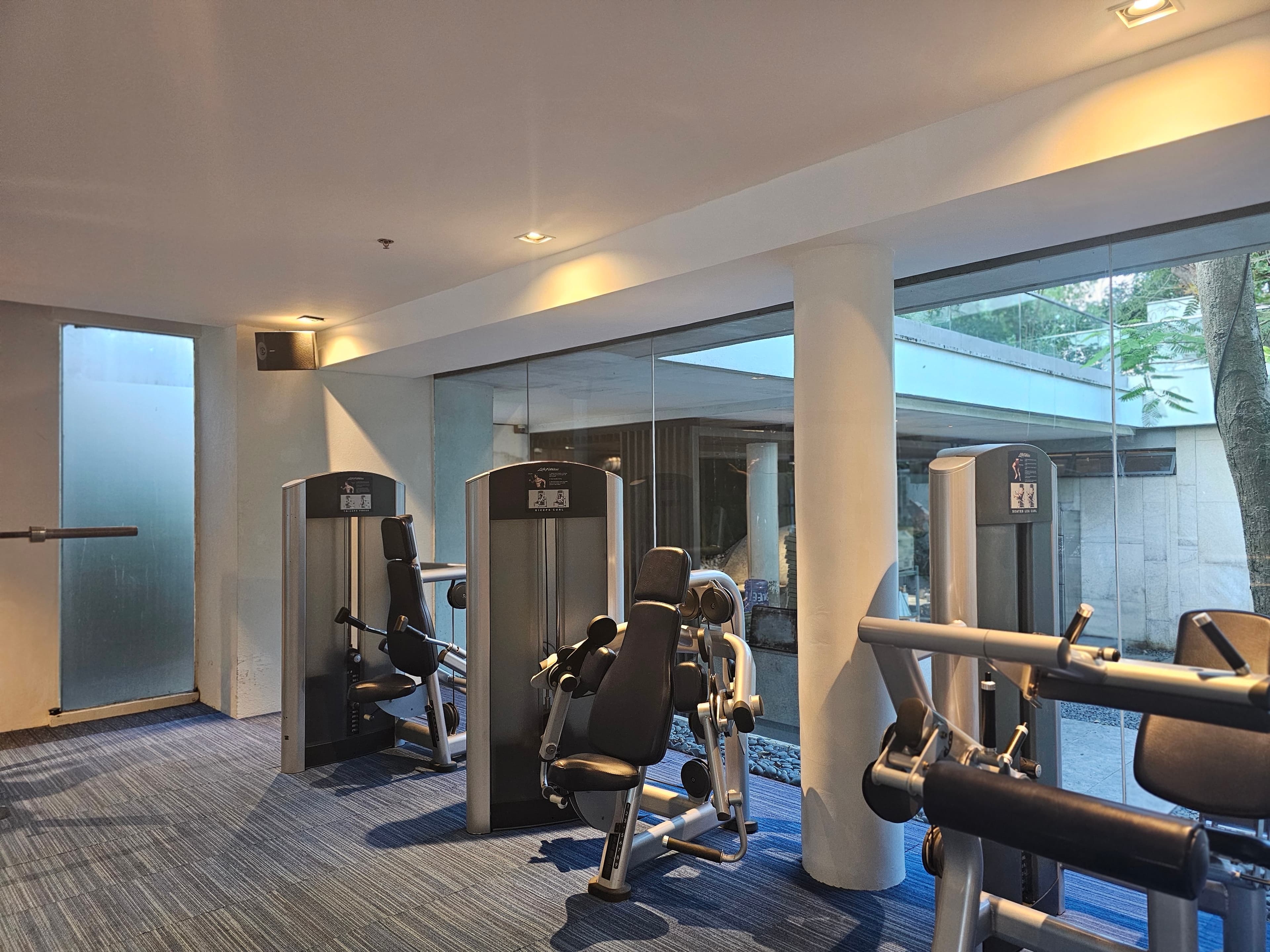 Gym facilities and equipment